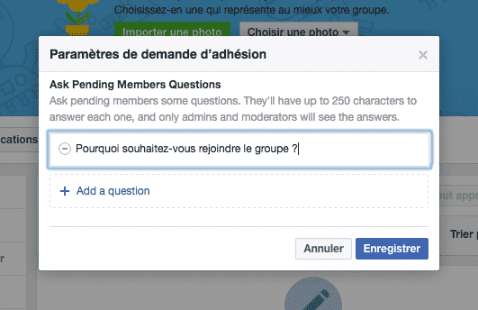 Questionnaire Groupe Facebook 2