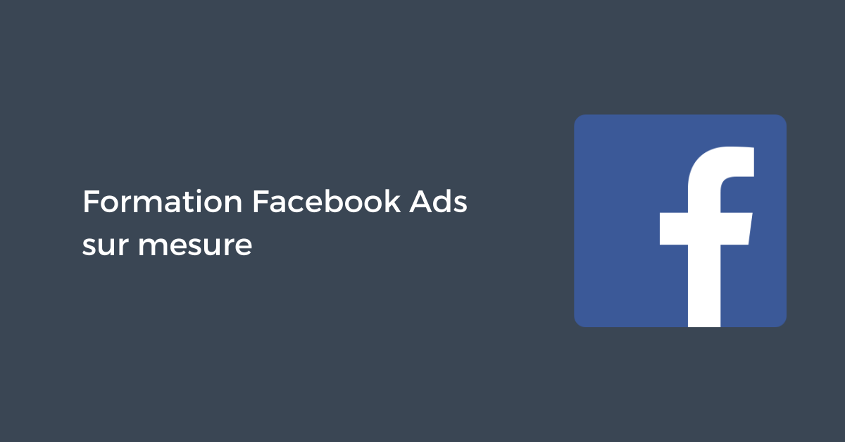 Formation Facebook Ads
